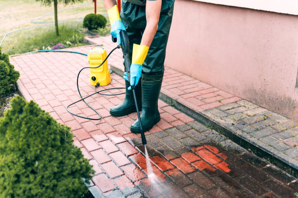 Best Affordable Pressure Washing  in Niagara University, NY