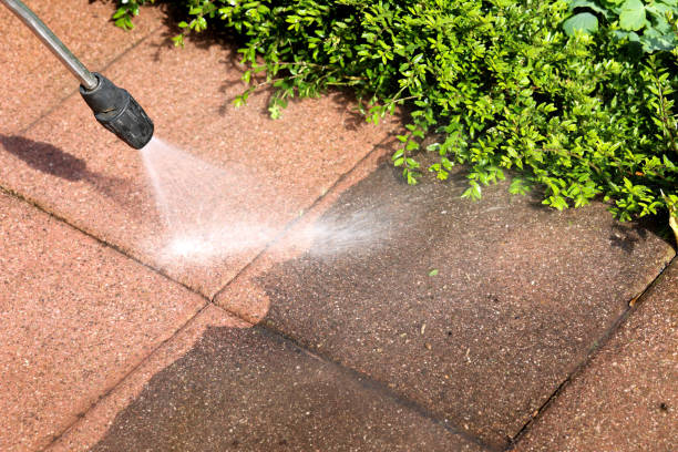 Professional Pressure Washing in Niagara University, NY